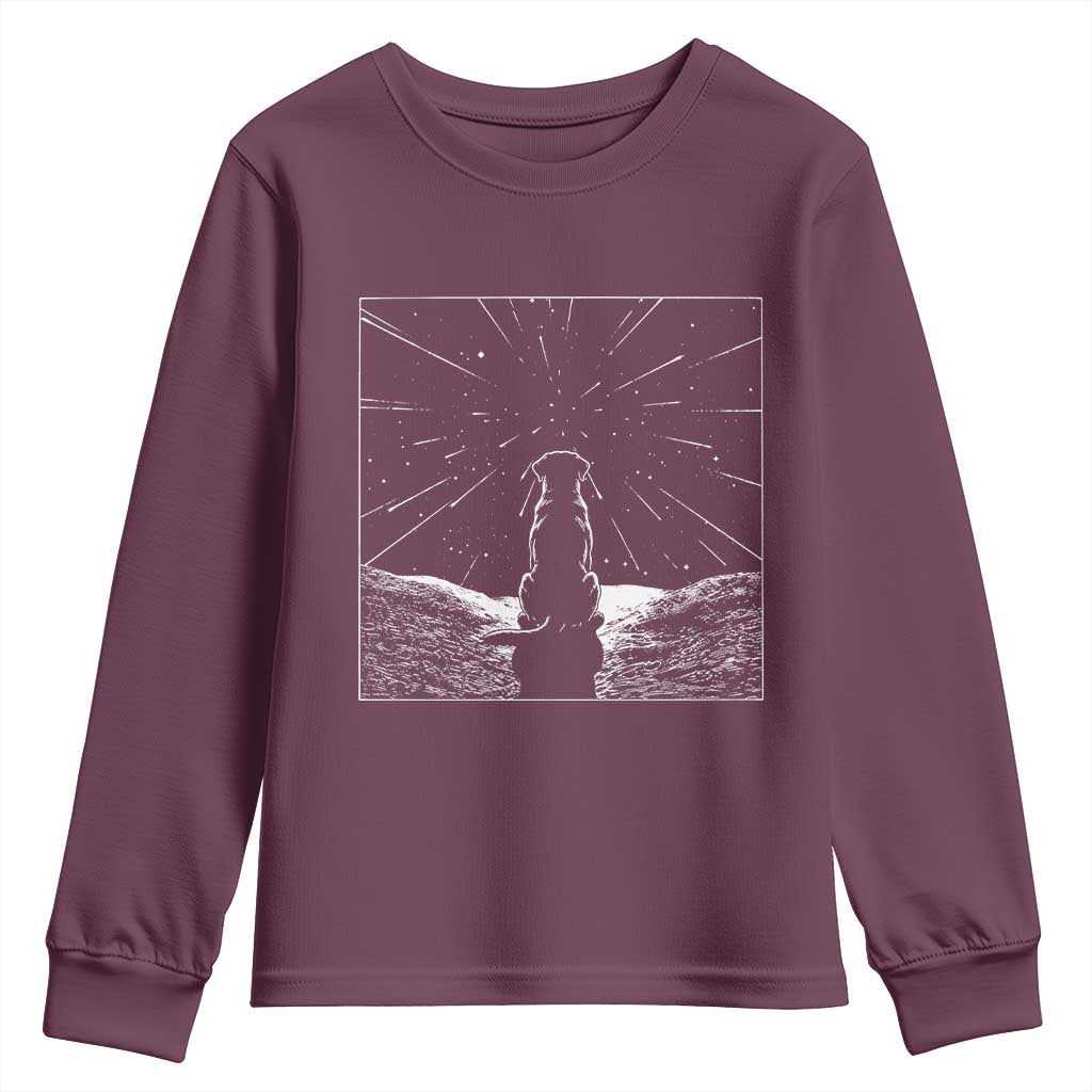 Meteor Shower Science Gift Youth Sweatshirt Dog Watching Stars
