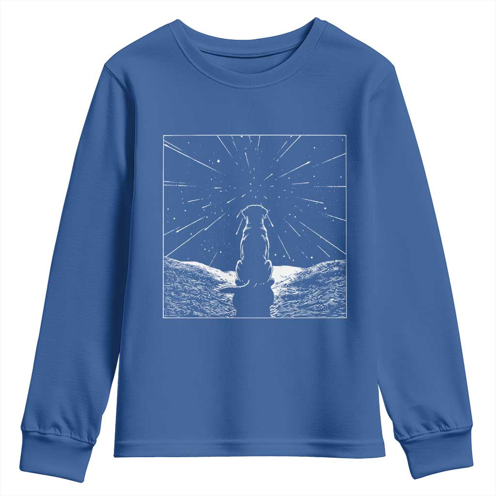 Meteor Shower Science Gift Youth Sweatshirt Dog Watching Stars