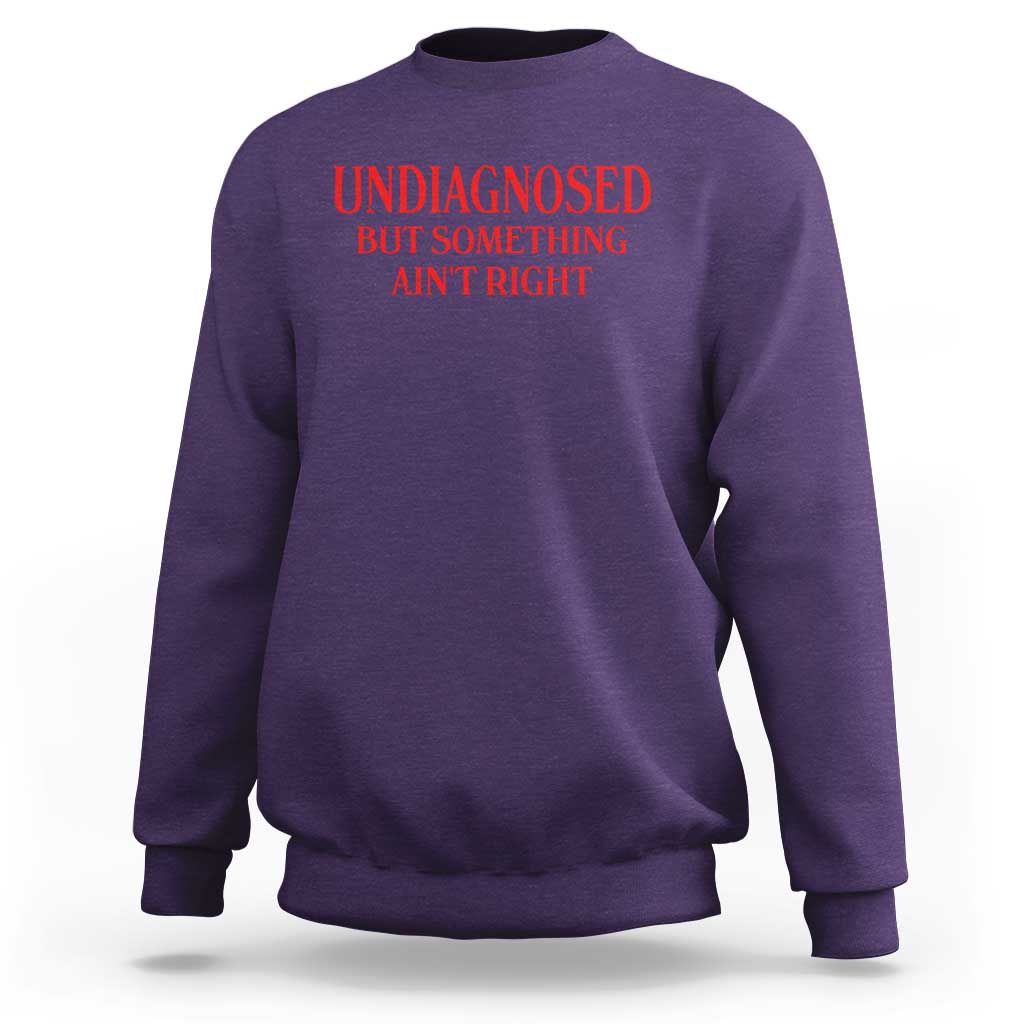 Funny Sarcastic Sweatshirt Undiagnosed But Something Aint Right