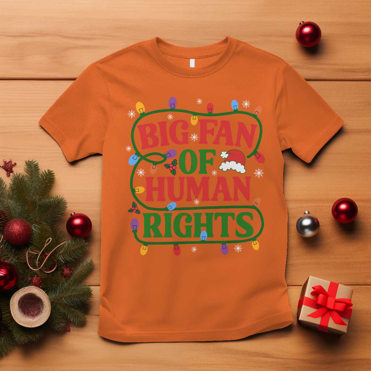 Big Fan Of Human Rights T Shirt Equality Activists Christmas Gift - Wonder Print Shop