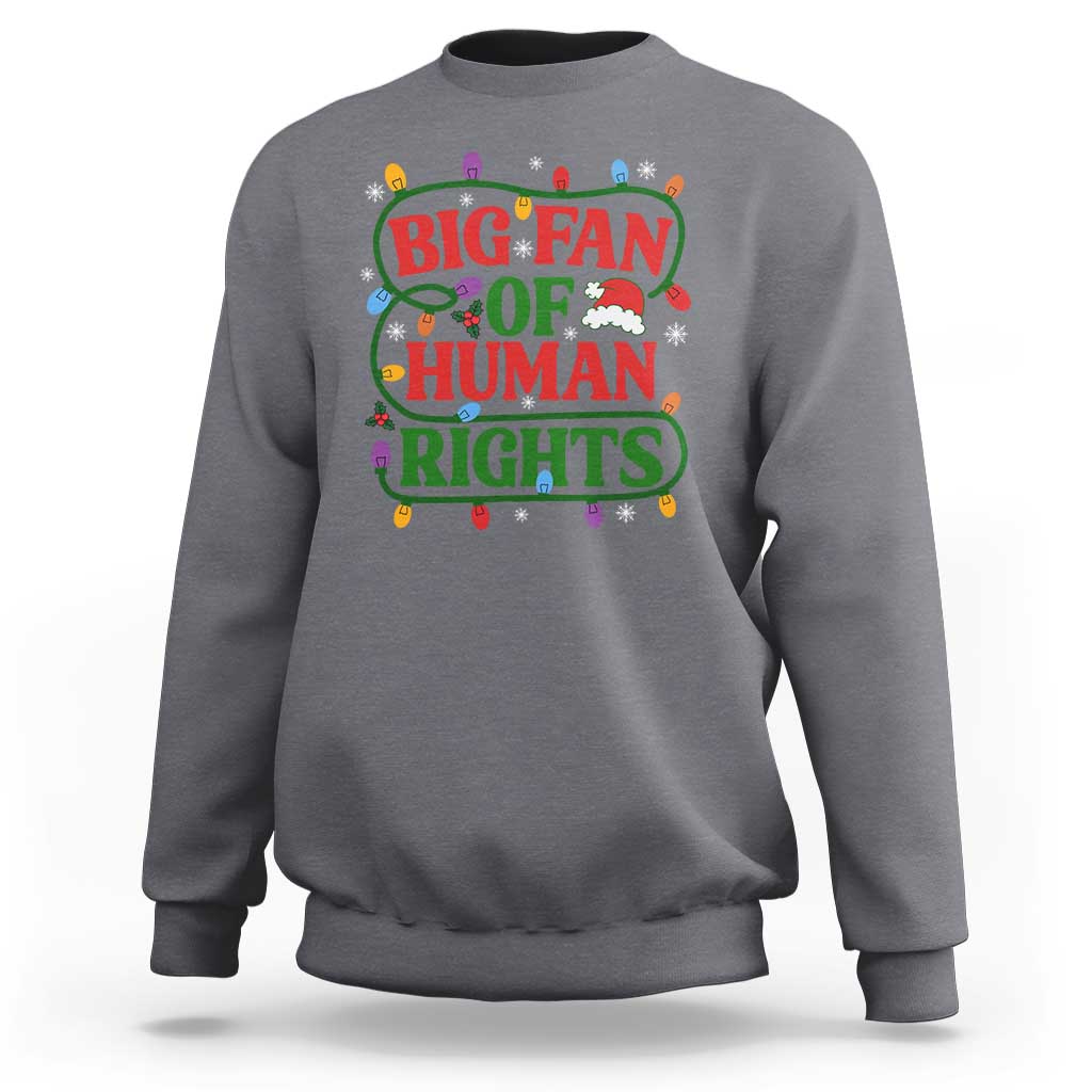 Big Fan Of Human Rights Sweatshirt Equality Activists Christmas Gift - Wonder Print Shop