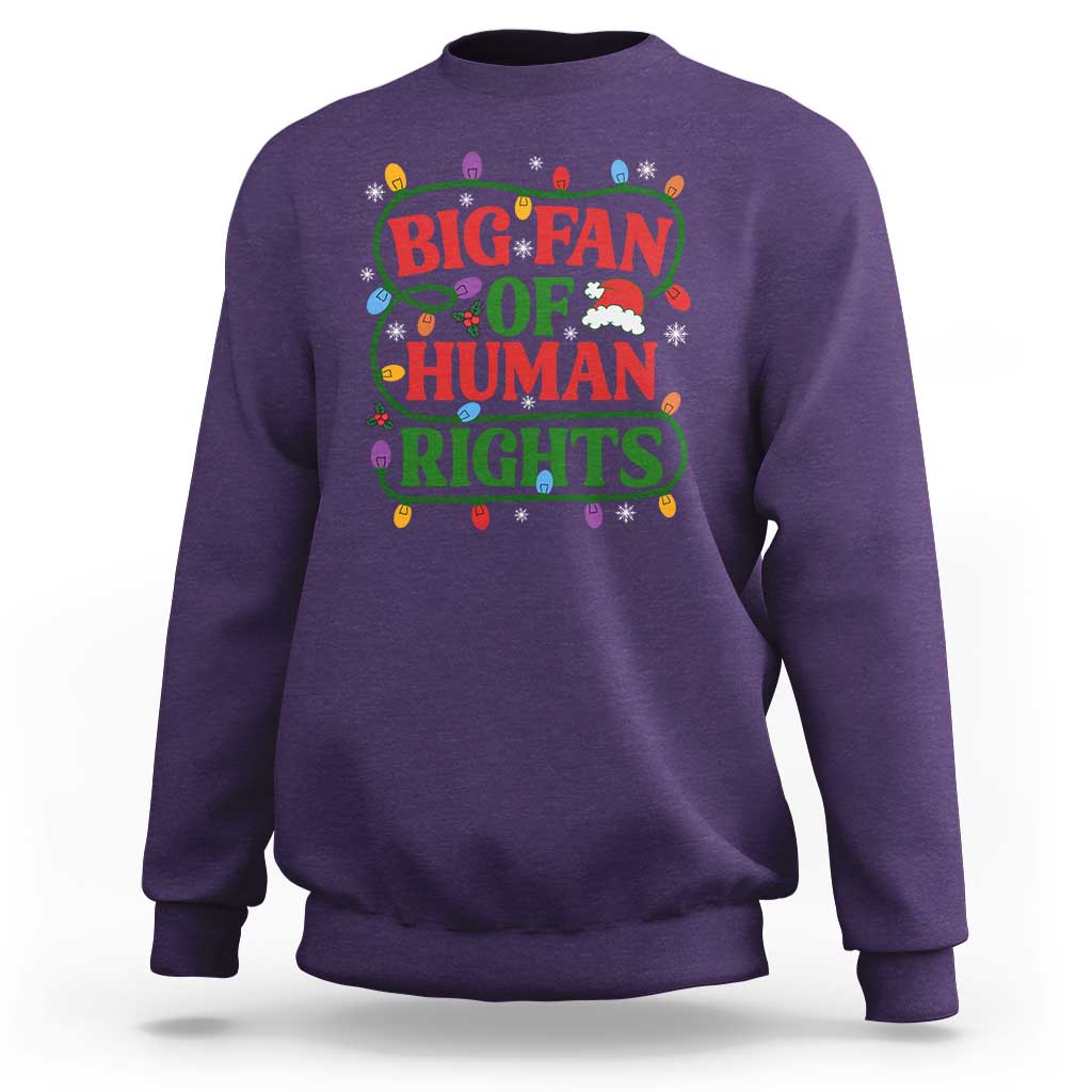 Big Fan Of Human Rights Sweatshirt Equality Activists Christmas Gift - Wonder Print Shop