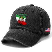 Freedom Iran Washed Cotton Baseball Cap Patriotic Persian Lion Resistance Movement Gift