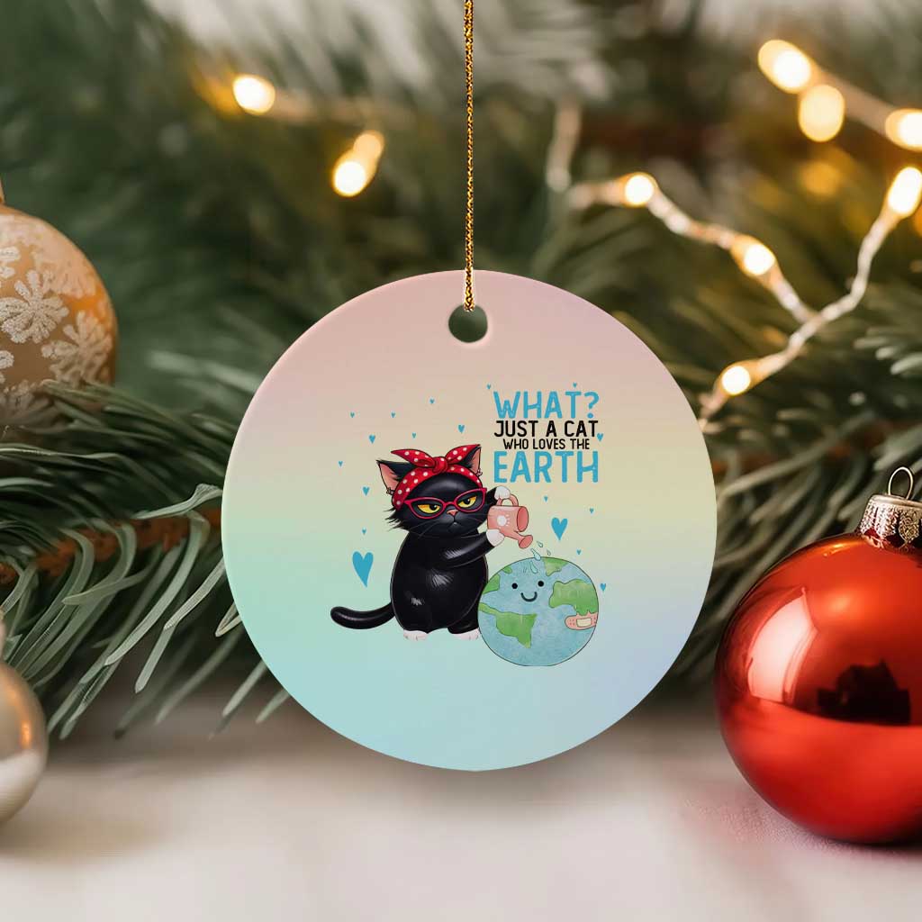 Just A Cat Who Loves The Earth Ceramic Ornament Earth Day Cat Lover Gift