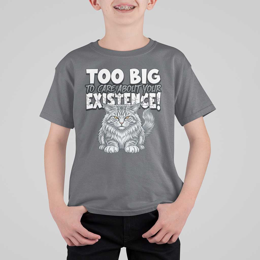 Funny Maine Coon Cat T Shirt For Kid Too Big To Care About Your Existence