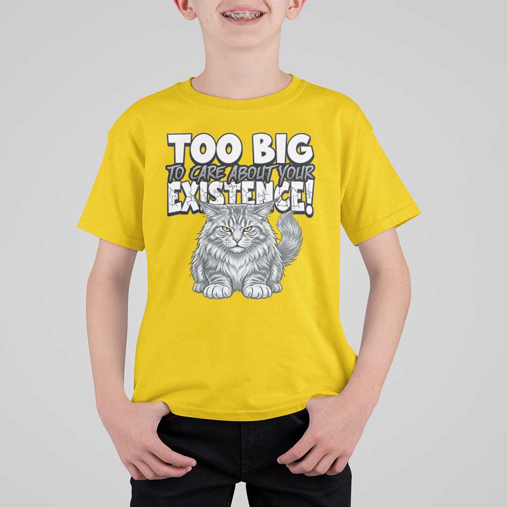 Funny Maine Coon Cat T Shirt For Kid Too Big To Care About Your Existence