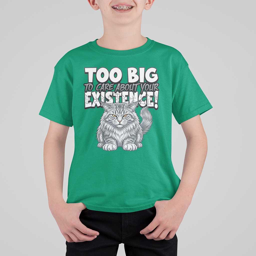 Funny Maine Coon Cat T Shirt For Kid Too Big To Care About Your Existence