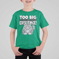 Funny Maine Coon Cat T Shirt For Kid Too Big To Care About Your Existence