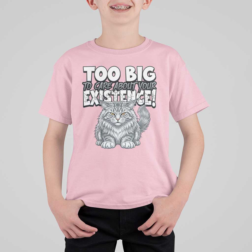 Funny Maine Coon Cat T Shirt For Kid Too Big To Care About Your Existence
