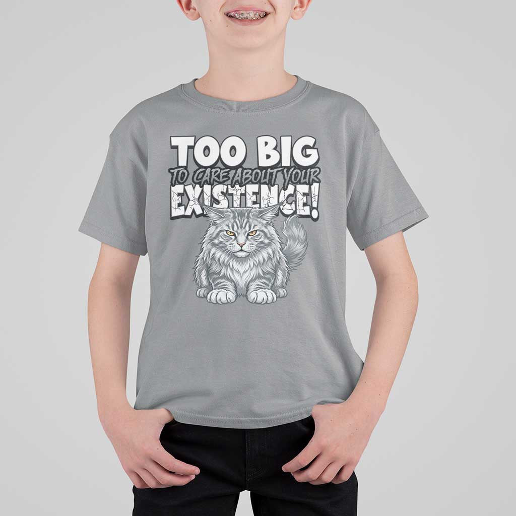 Funny Maine Coon Cat T Shirt For Kid Too Big To Care About Your Existence