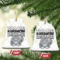 Funny Maine Coon Cat Ceramic Ornament Too Big To Care About Your Existence