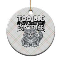 Funny Maine Coon Cat Ceramic Ornament Too Big To Care About Your Existence