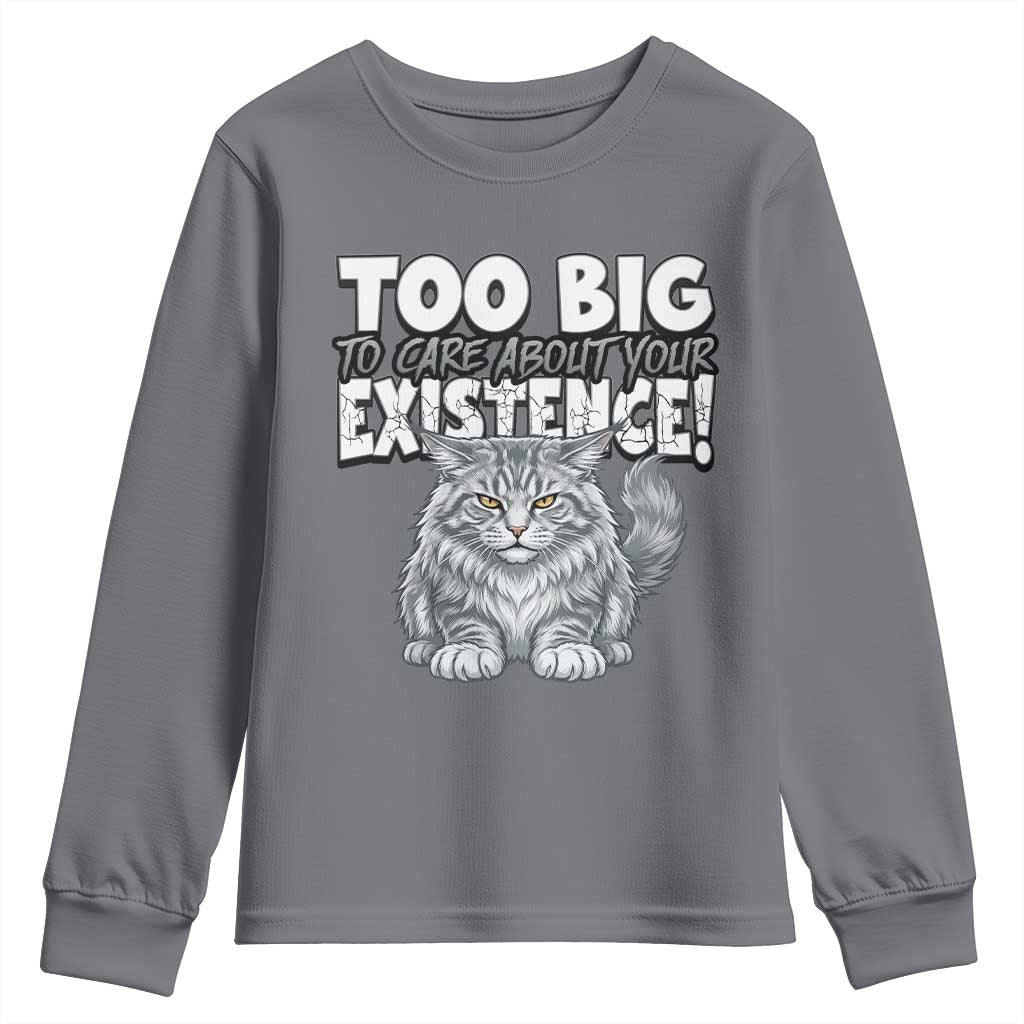 Funny Maine Coon Cat Youth Sweatshirt Too Big To Care About Your Existence