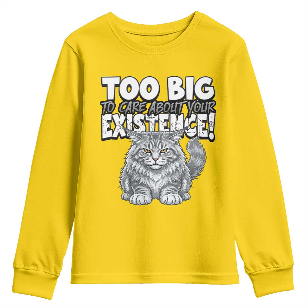 Funny Maine Coon Cat Youth Sweatshirt Too Big To Care About Your Existence