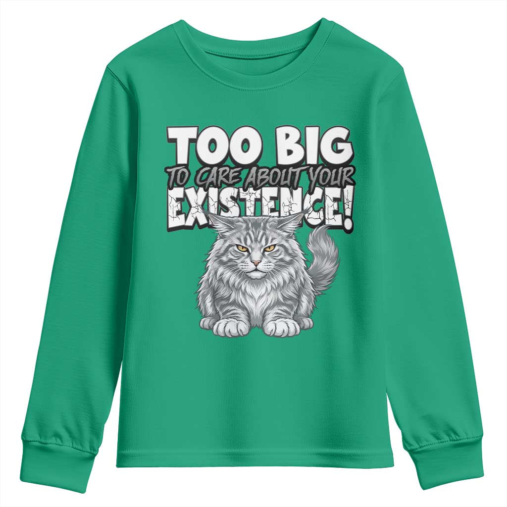 Funny Maine Coon Cat Youth Sweatshirt Too Big To Care About Your Existence