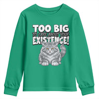 Funny Maine Coon Cat Youth Sweatshirt Too Big To Care About Your Existence
