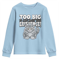Funny Maine Coon Cat Youth Sweatshirt Too Big To Care About Your Existence
