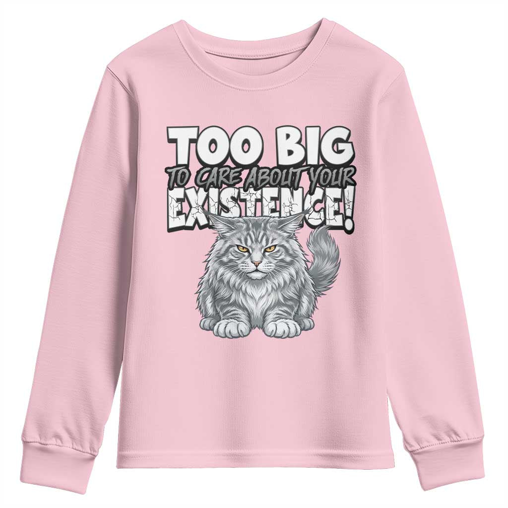 Funny Maine Coon Cat Youth Sweatshirt Too Big To Care About Your Existence
