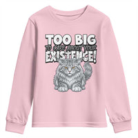 Funny Maine Coon Cat Youth Sweatshirt Too Big To Care About Your Existence
