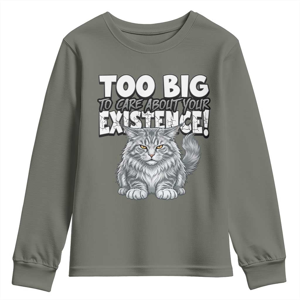Funny Maine Coon Cat Youth Sweatshirt Too Big To Care About Your Existence