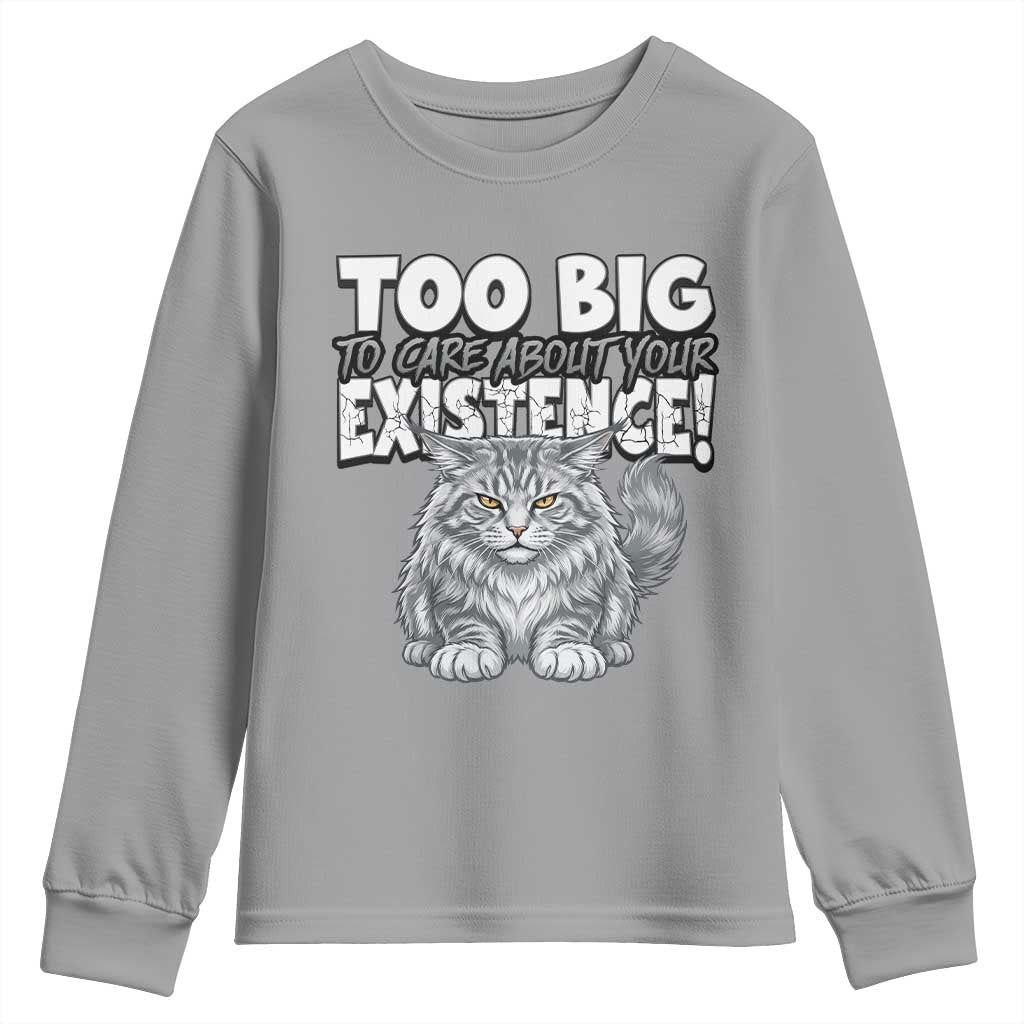 Funny Maine Coon Cat Youth Sweatshirt Too Big To Care About Your Existence