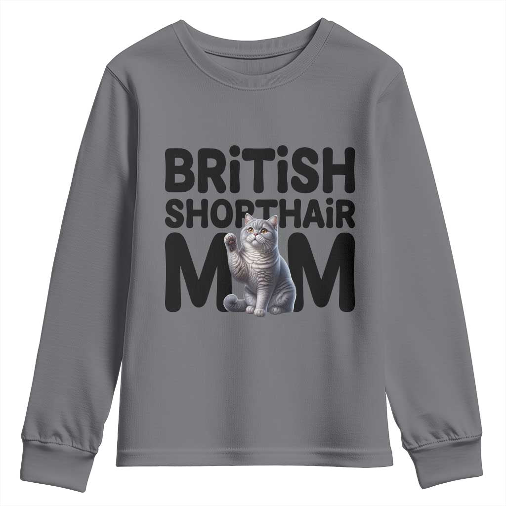 British Shorthair Mom Life Youth Sweatshirt Mothers Day Cat Mom Gift