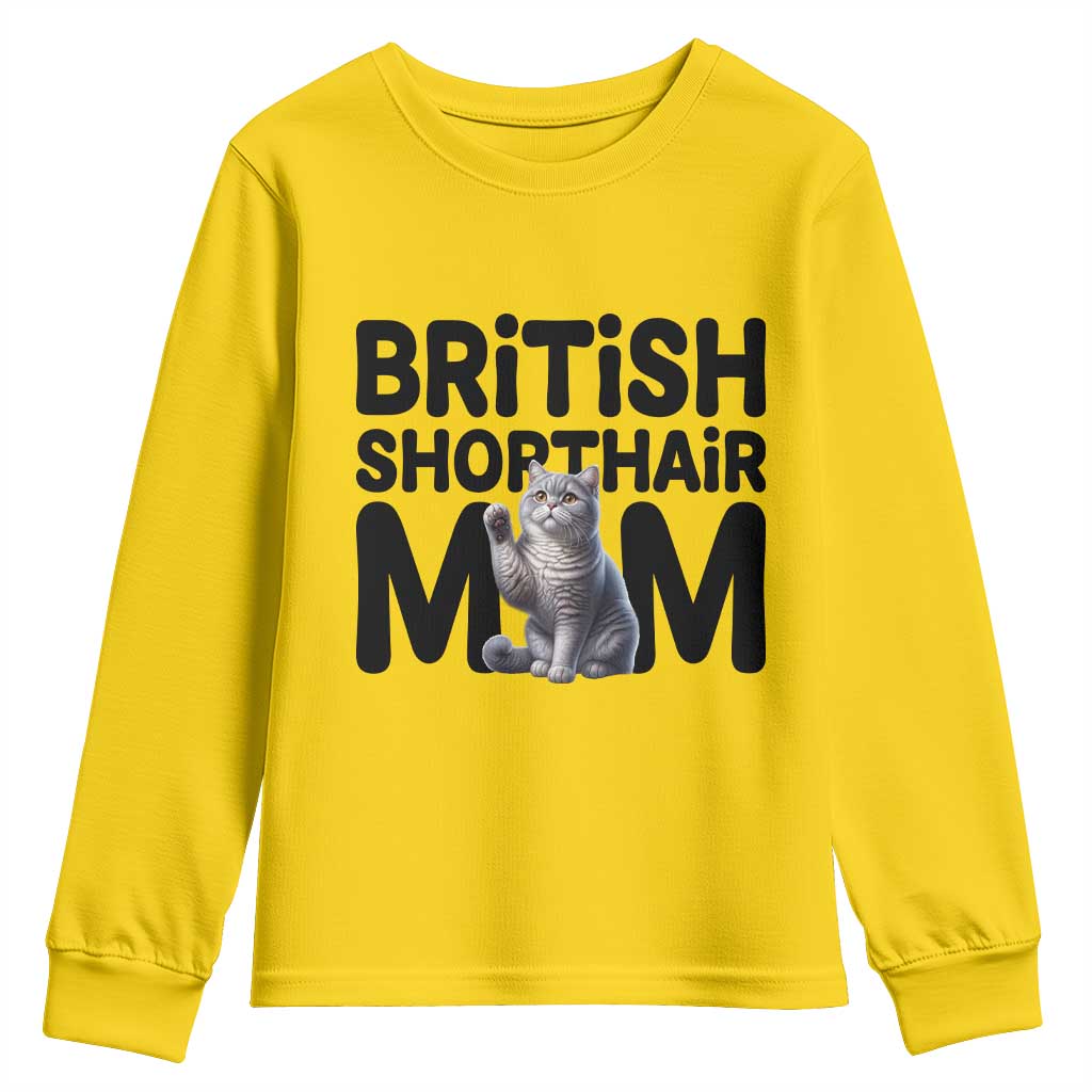 British Shorthair Mom Life Youth Sweatshirt Mothers Day Cat Mom Gift