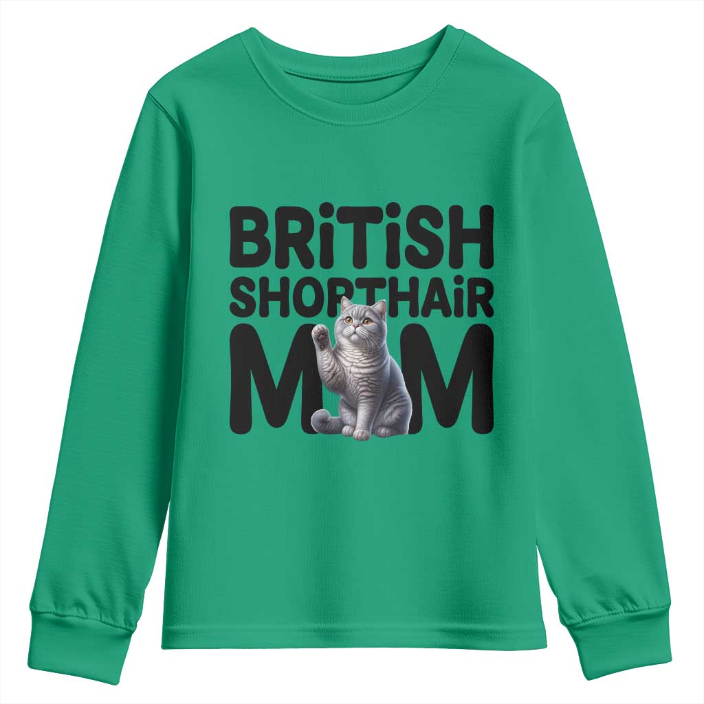 British Shorthair Mom Life Youth Sweatshirt Mothers Day Cat Mom Gift