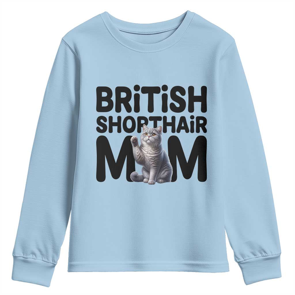 British Shorthair Mom Life Youth Sweatshirt Mothers Day Cat Mom Gift