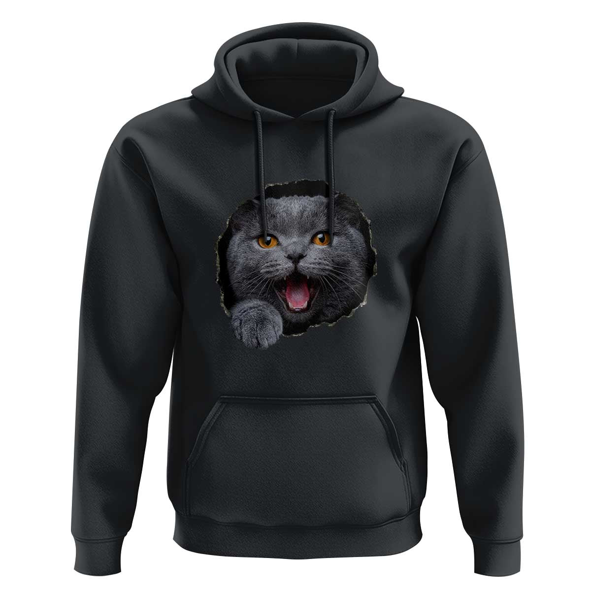 Cute British Shorthair Cat Peeking Through Cracked Wall Hoodie