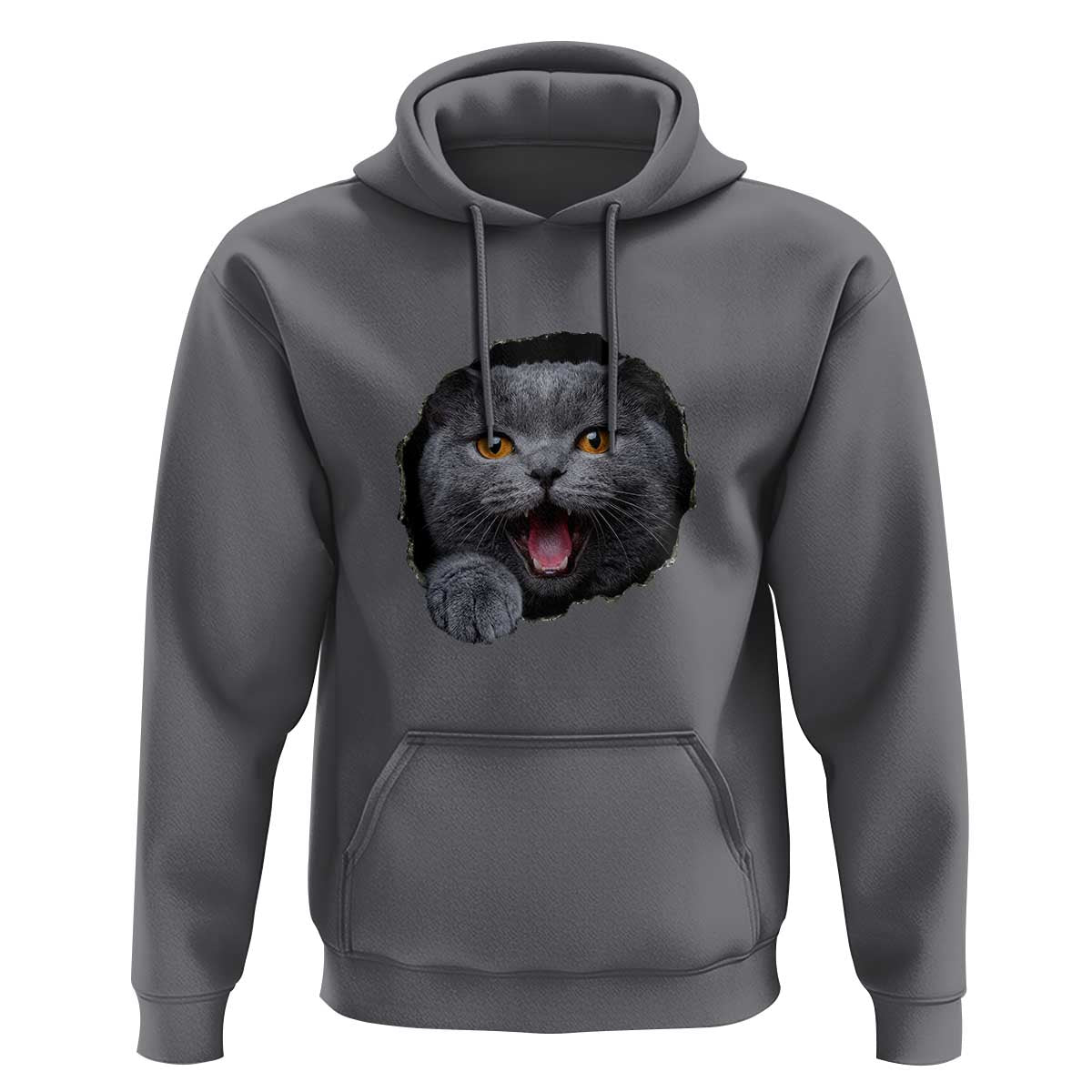 Cute British Shorthair Cat Peeking Through Cracked Wall Hoodie