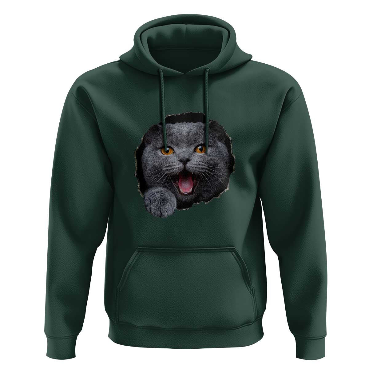Cute British Shorthair Cat Peeking Through Cracked Wall Hoodie