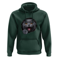 Cute British Shorthair Cat Peeking Through Cracked Wall Hoodie
