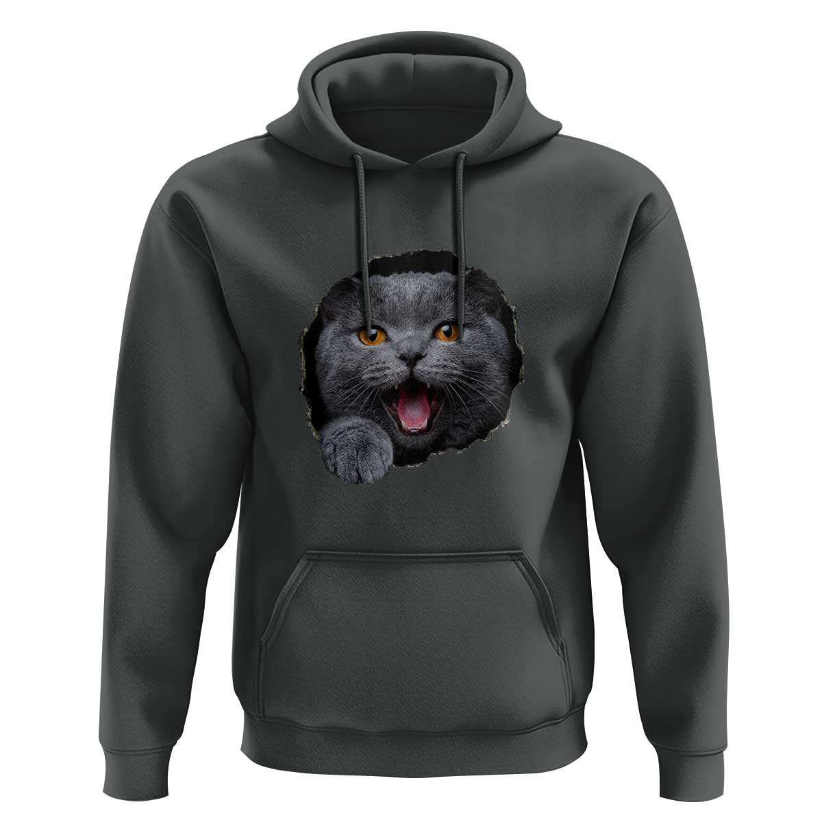 Cute British Shorthair Cat Peeking Through Cracked Wall Hoodie