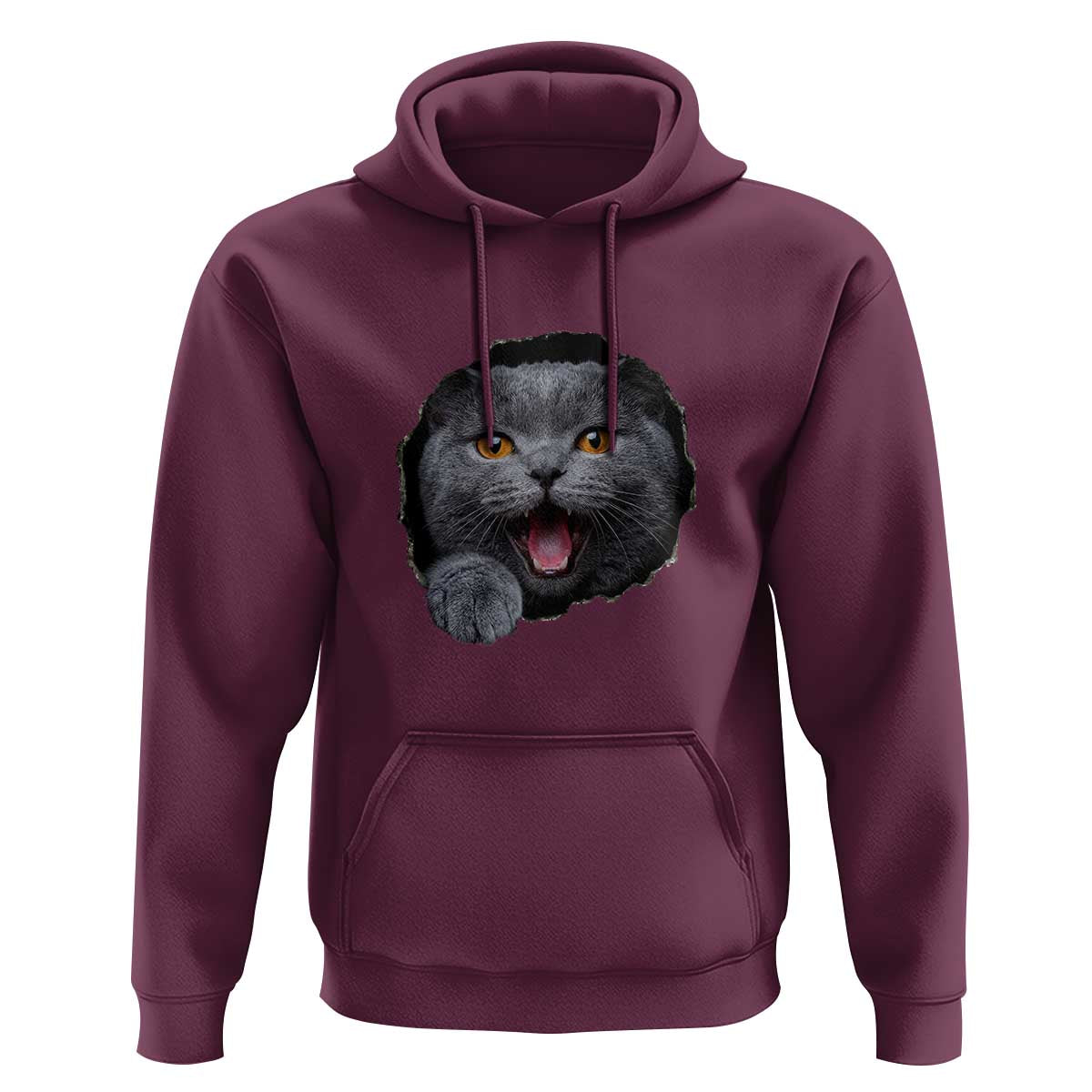 Cute British Shorthair Cat Peeking Through Cracked Wall Hoodie