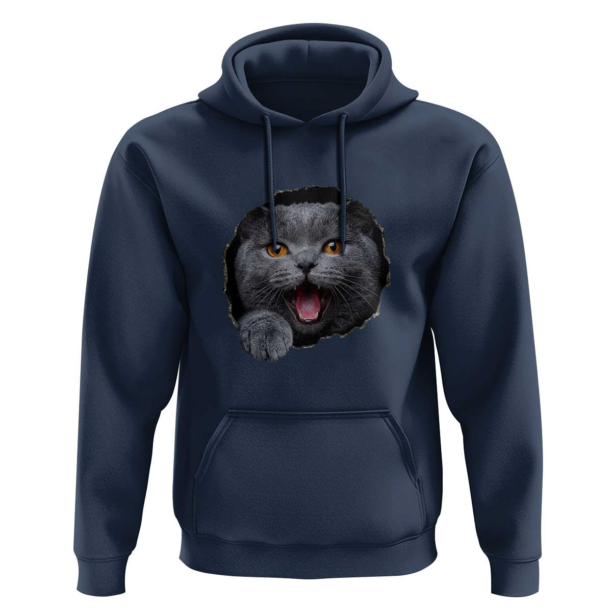 Cute British Shorthair Cat Peeking Through Cracked Wall Hoodie