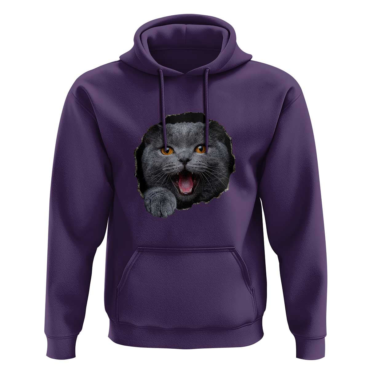 Cute British Shorthair Cat Peeking Through Cracked Wall Hoodie