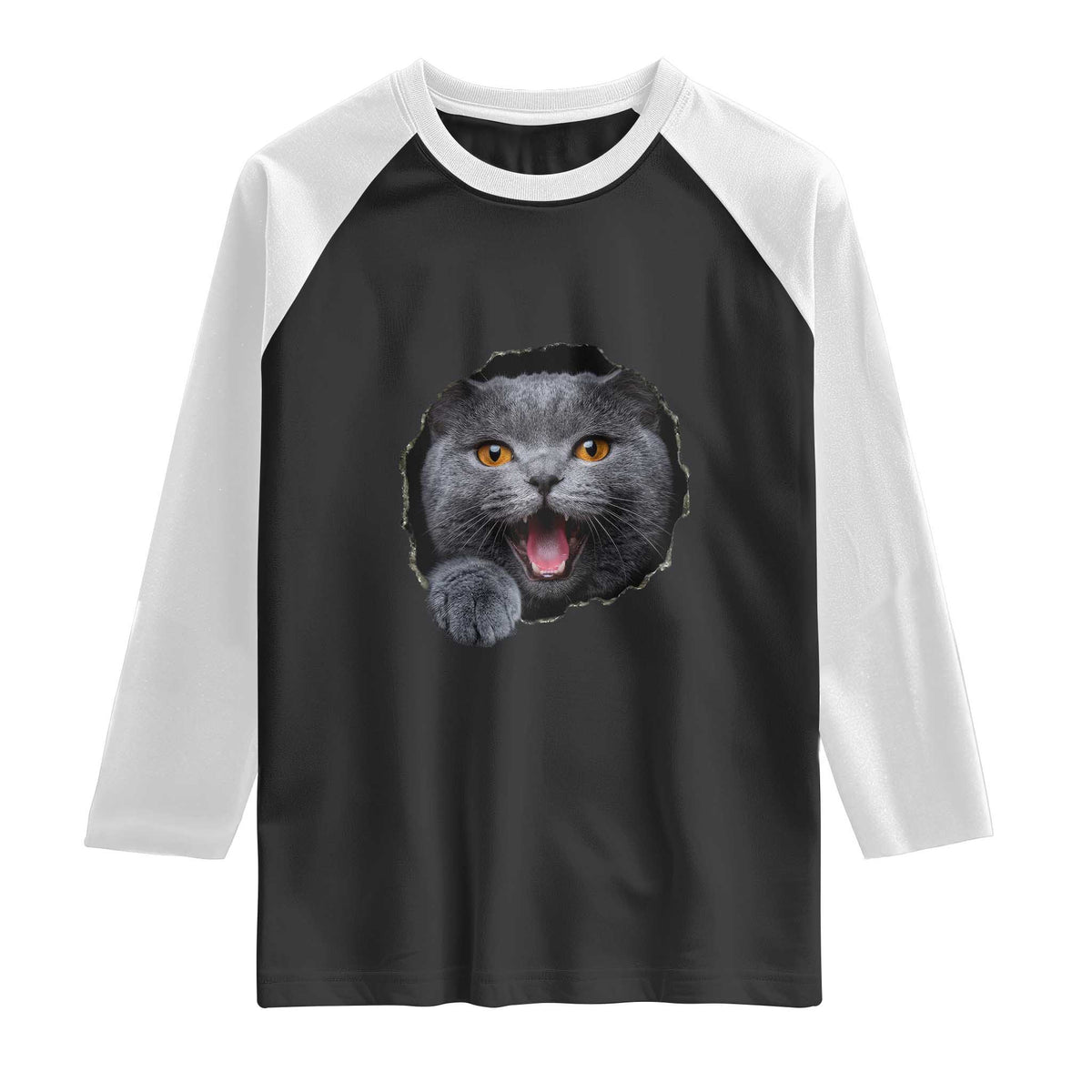 Cute British Shorthair Cat Peeking Through Cracked Wall Raglan Shirt