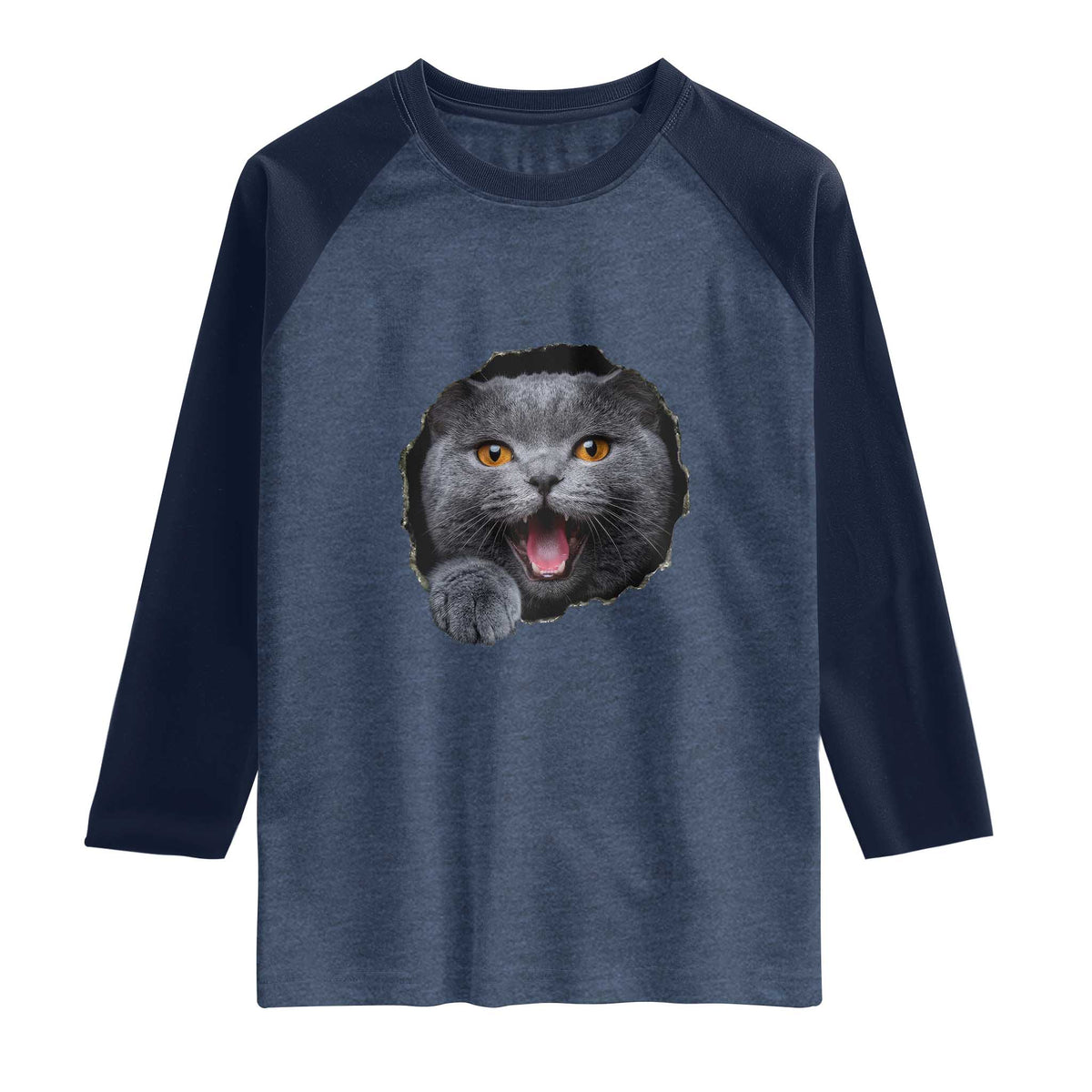 Cute British Shorthair Cat Peeking Through Cracked Wall Raglan Shirt