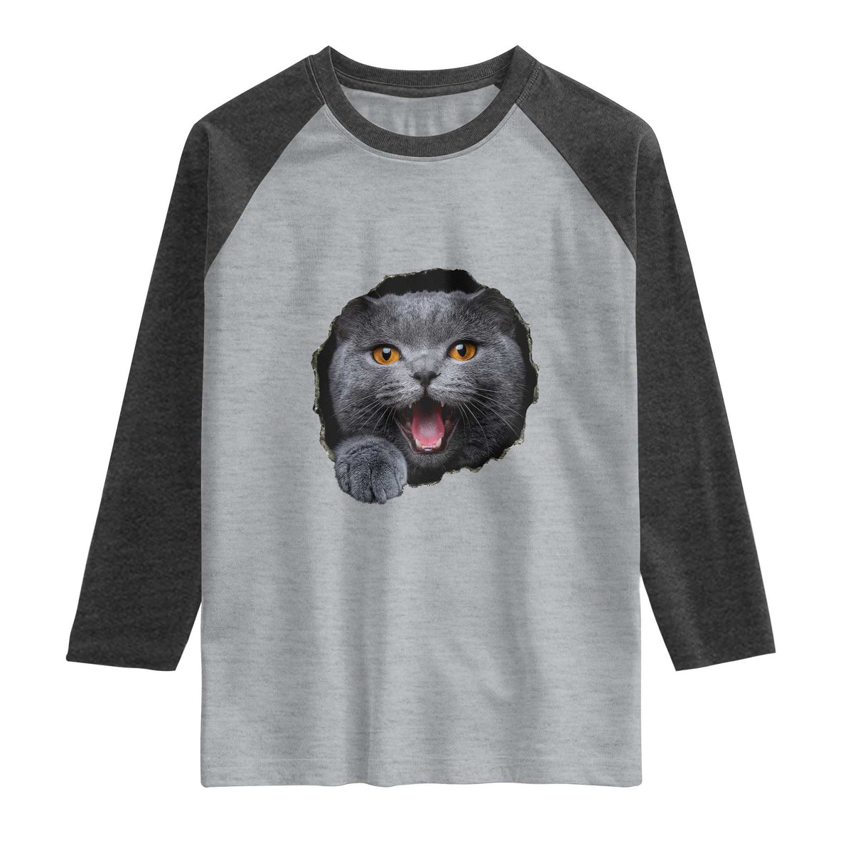 Cute British Shorthair Cat Peeking Through Cracked Wall Raglan Shirt