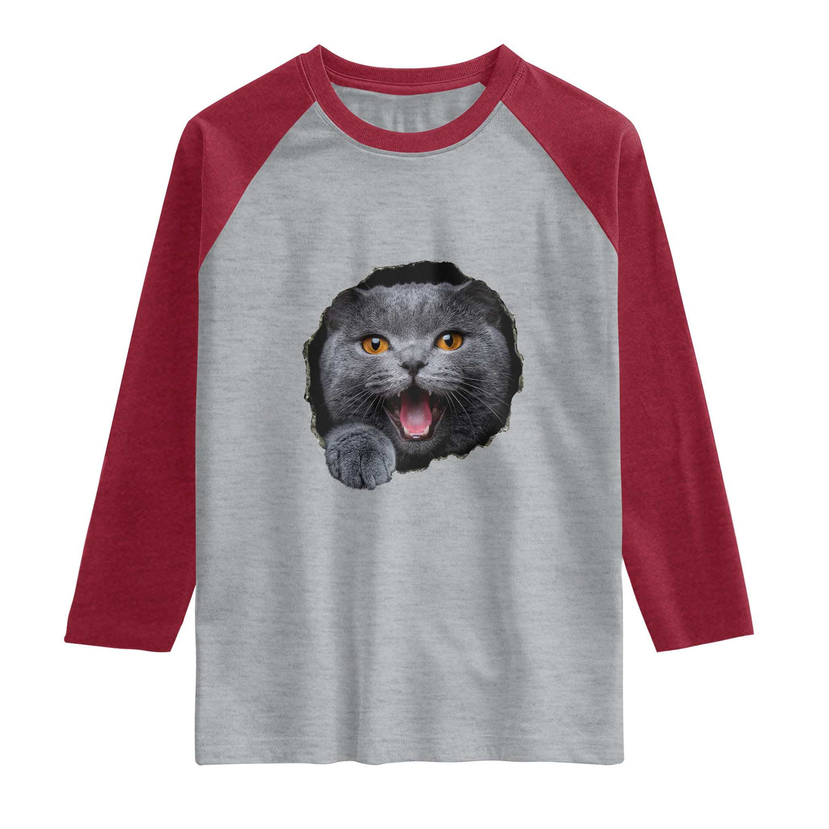 Cute British Shorthair Cat Peeking Through Cracked Wall Raglan Shirt