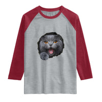 Cute British Shorthair Cat Peeking Through Cracked Wall Raglan Shirt