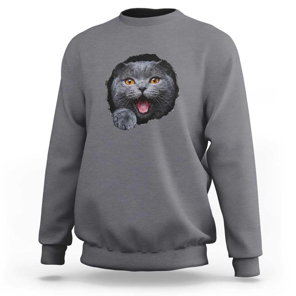 Cute British Shorthair Cat Peeking Through Cracked Wall Sweatshirt