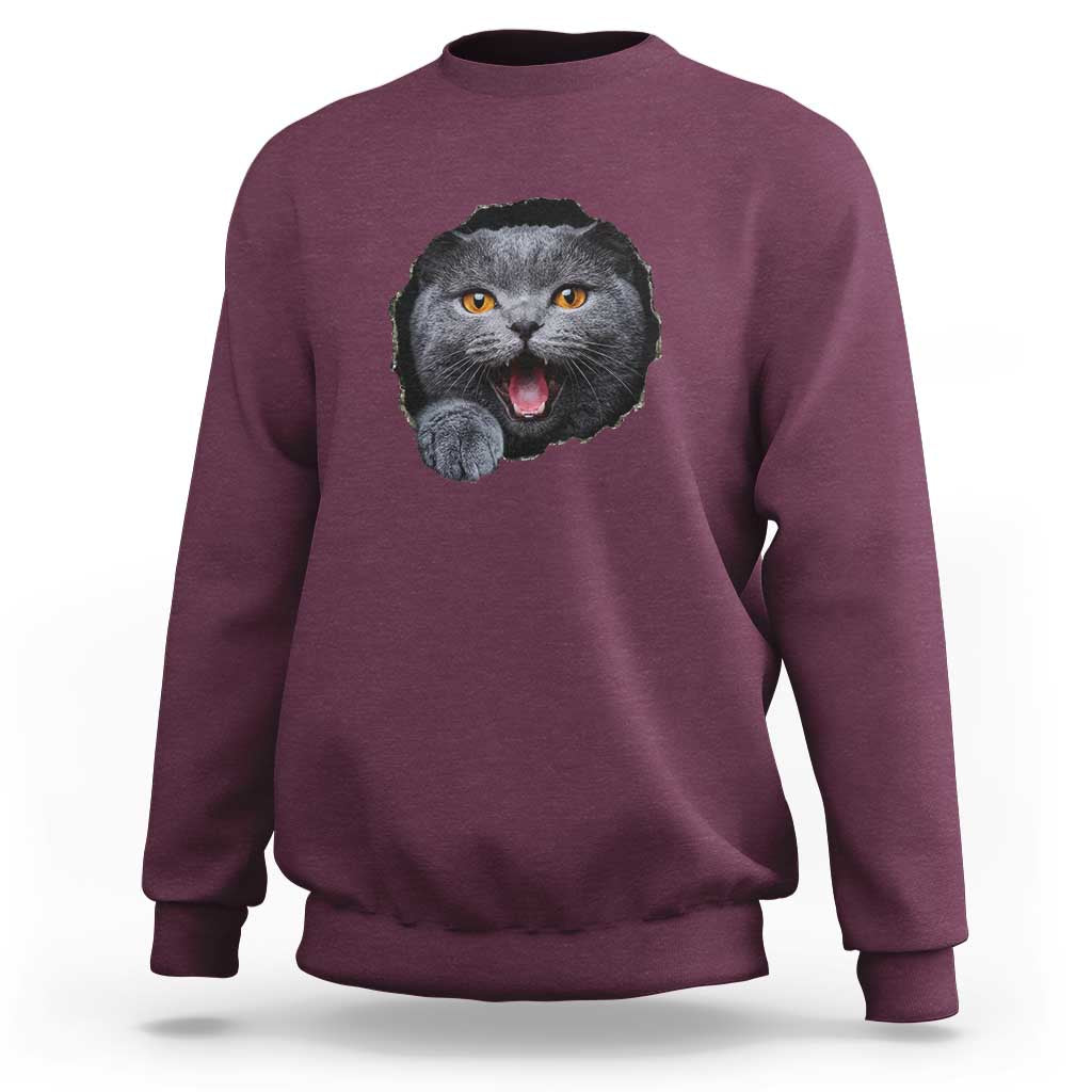 Cute British Shorthair Cat Peeking Through Cracked Wall Sweatshirt