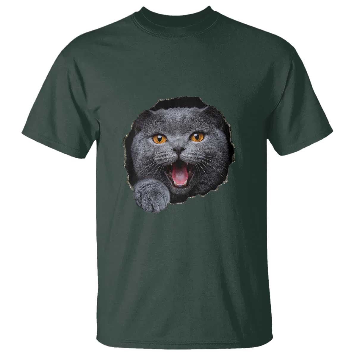 Cute British Shorthair Cat Peeking Through Cracked Wall T Shirt