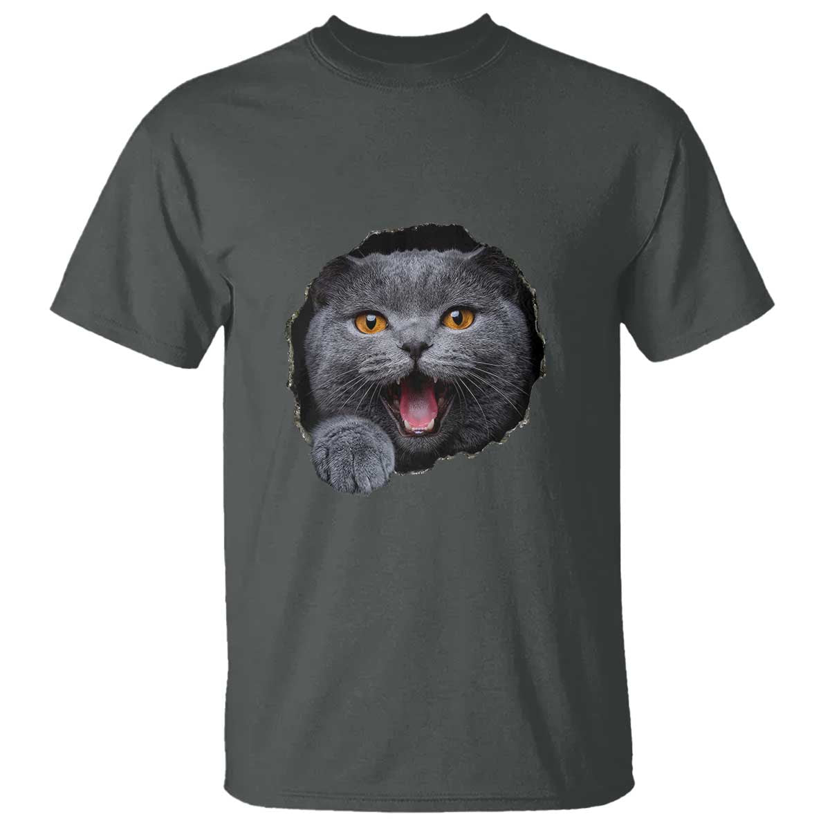 Cute British Shorthair Cat Peeking Through Cracked Wall T Shirt