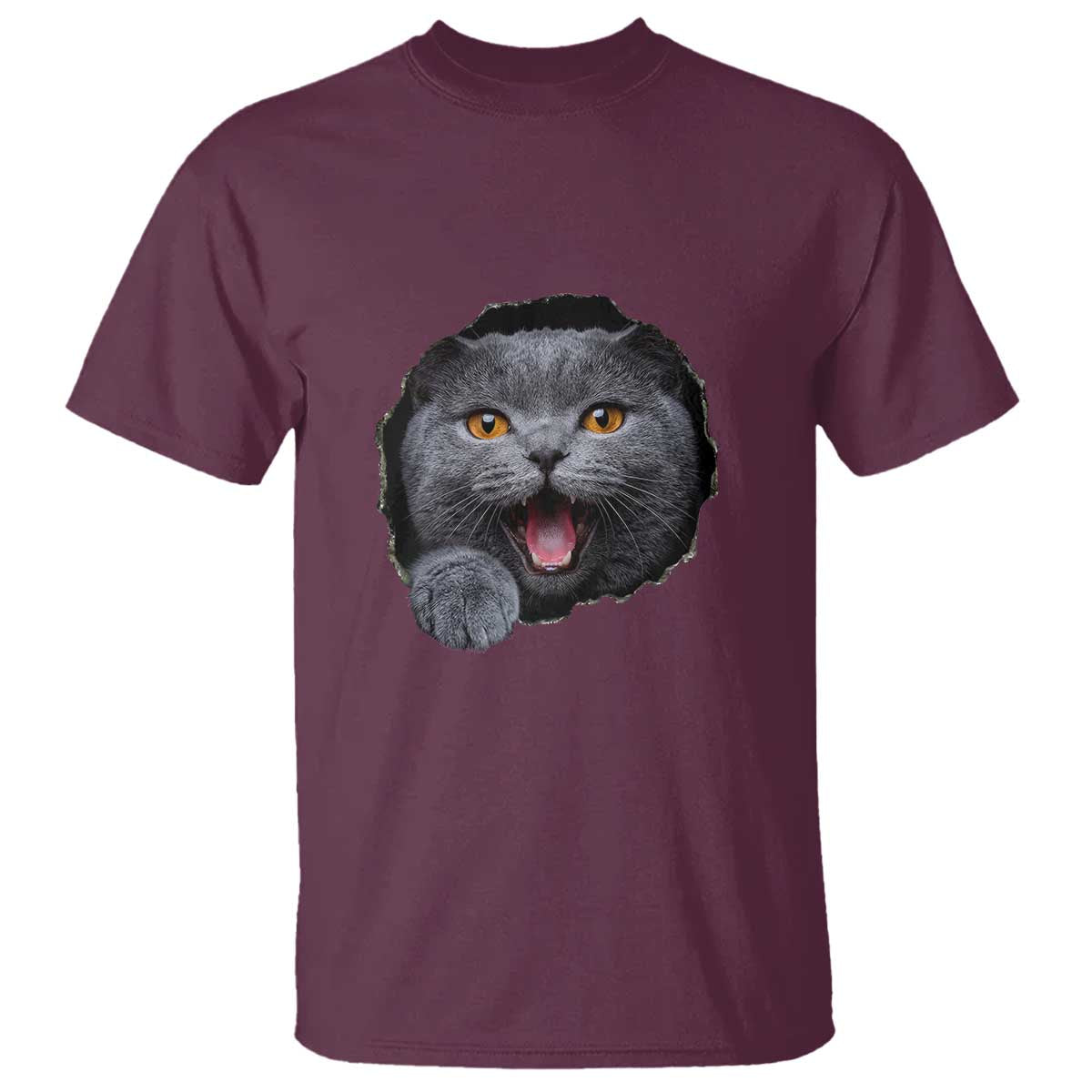 Cute British Shorthair Cat Peeking Through Cracked Wall T Shirt