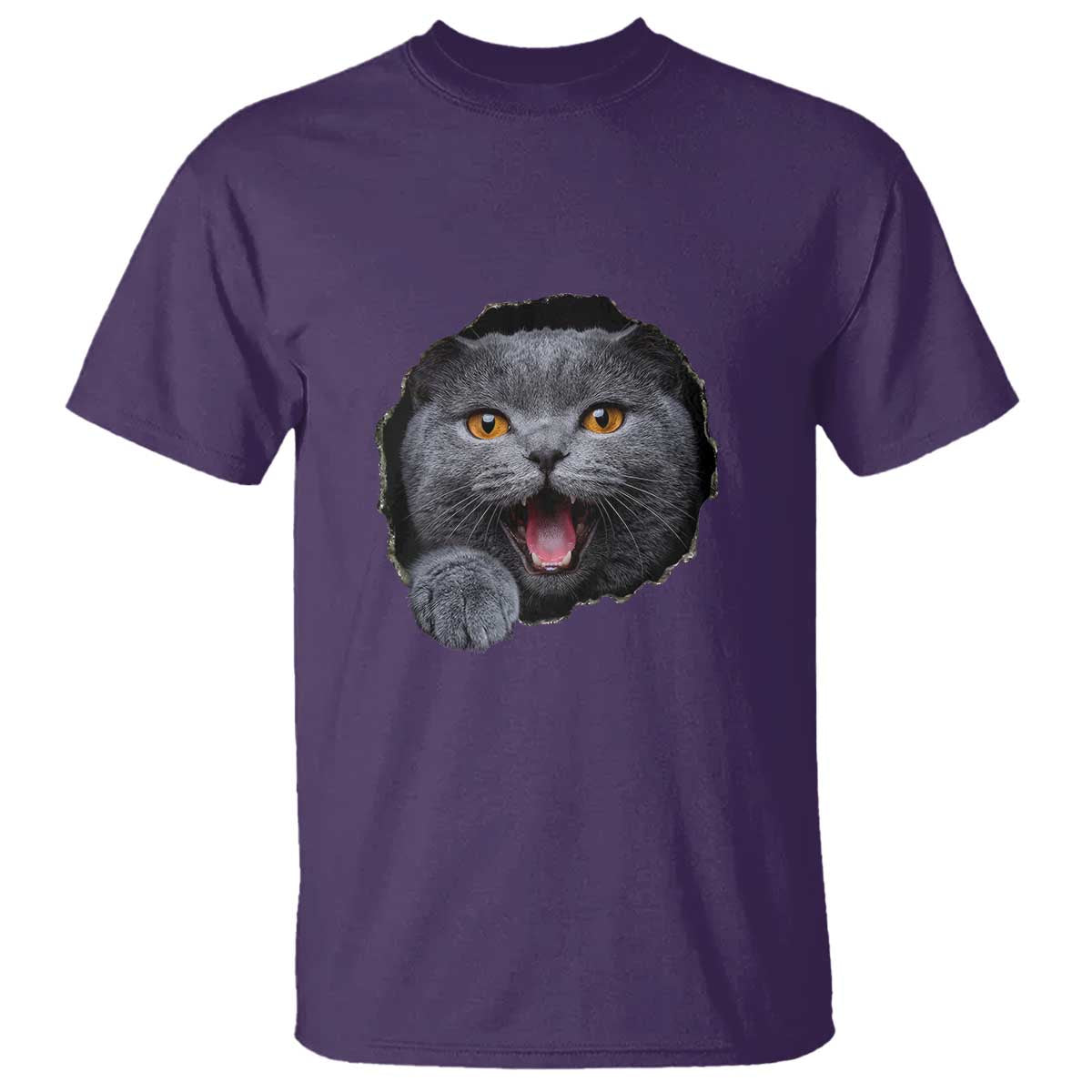 Cute British Shorthair Cat Peeking Through Cracked Wall T Shirt
