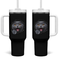 Cute British Shorthair Cat Peeking Through Cracked Wall Tumbler With Handle