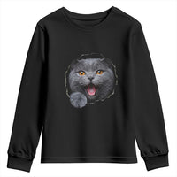 Cute British Shorthair Cat Peeking Through Cracked Wall Youth Sweatshirt